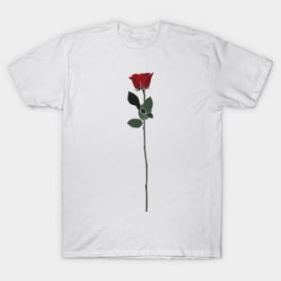 Flora Vignette : Red Rose T-Shirt